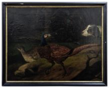 Hunting dog and pair of pheasants, German painter of the 18th cent.