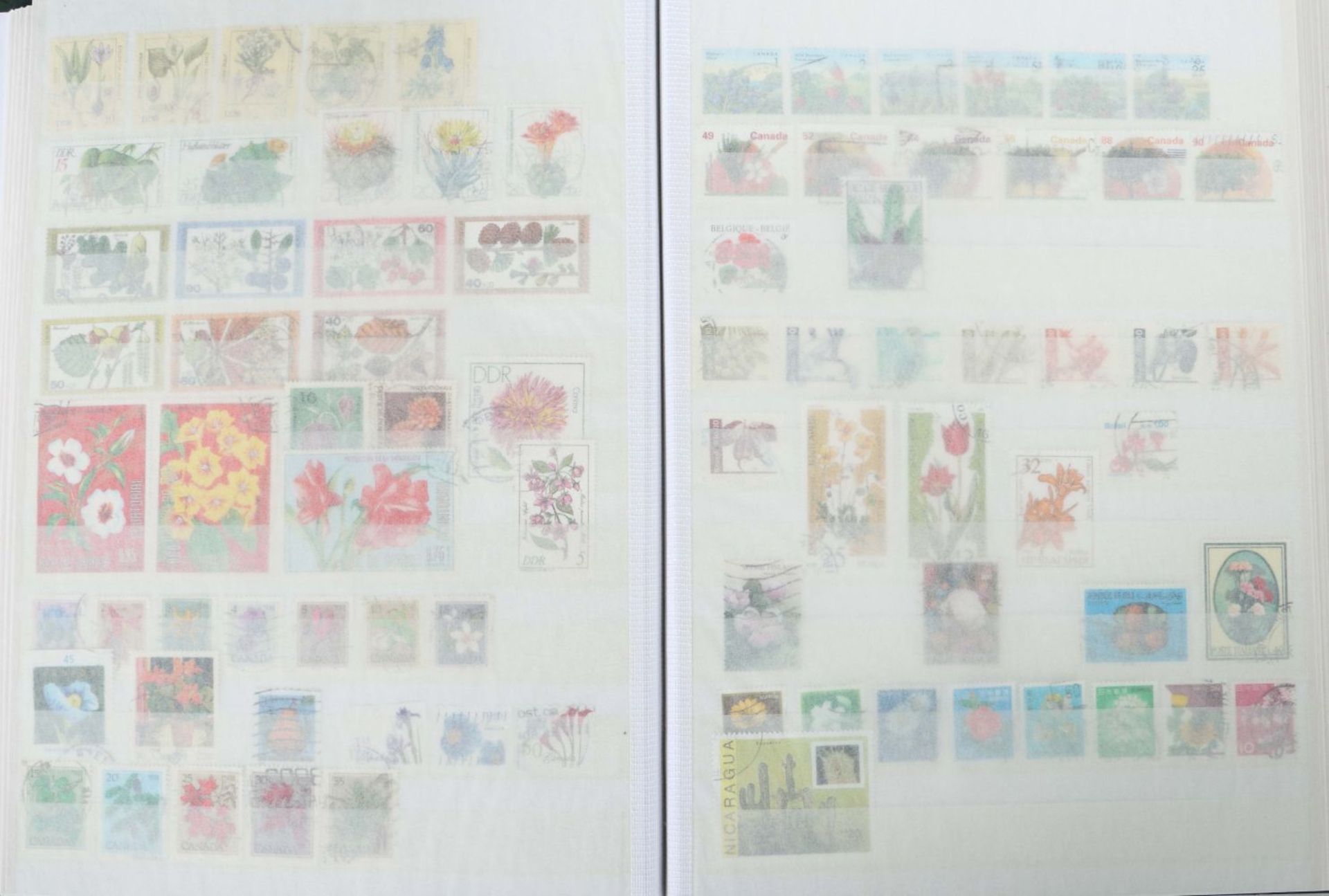 4 Briefmarkenalben BRD 1995-2008 mit - Bild 6 aus 11