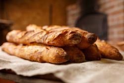 Quarterly Bakery Processing and Packaging Equipment Auction