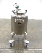Lee 75 Gallon Stainless Steel Kettle with Agitation