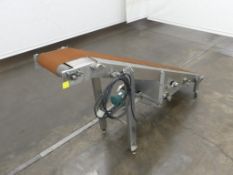 Belt Incline Conveyor 117