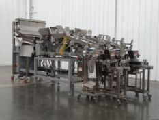 Weighpack TW-TP Linear Counter & VS Bagging System