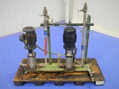 (2) Skid Mounted Grundfos Pumps