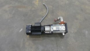 Walrus Pump with 3 HP Motor & 316 Stainless Steel