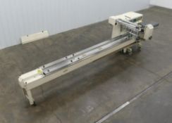 Ilapak Carrera 500 Flow Wrapper w Infeed Conveyor