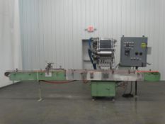 King Slat Counter with Product Conveyor