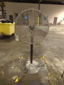 30 inch Pedestal Fan
