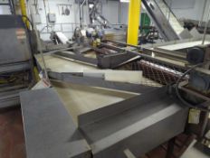 Apple Conveyor Reject System