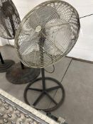Fan
