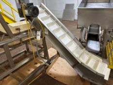 Cleated Incline Conveyor