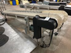 Incline Conveyer