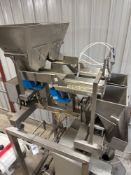 Weighpack V-9 Stainless Steel Dual Lane Linear Scale Scale