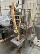 THB5-J320C1-Z Stainless Steel Liquid And Paste VFFS System