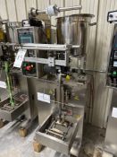THB5-J320C1-Z Stainless Steel Liquid And Paste VFFS System