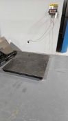 Tufner Weighing Systems T900A Floor Scale
