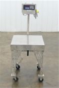 Stainless Scale w 6 Digit Western Scale Indicator