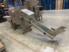 BPA Indexing Conveyor