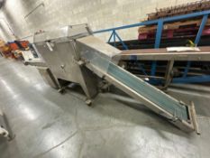 BPA Indexing Conveyor
