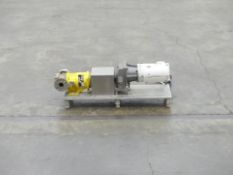 Blackmer Positive Displacement Pump with .5 Hp Motor