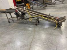 AC Horn Incline Conveyor