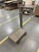 Chatillon Manual Scale