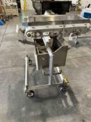 Stainless Steel Transfer conveyor