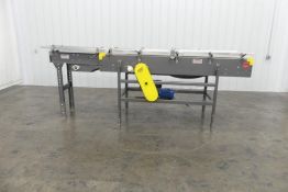 Sentry Equipment Plastic Mat-Top Conveyor 132