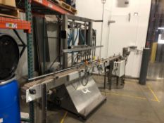 Liquid Packaging Solutions Inc 5 Head Piston Filler with Conveyor