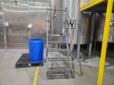 Mobile Platform Ladder