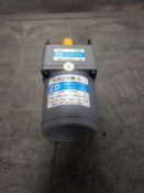 ZD Motor 41K25GN-C Induction Motor