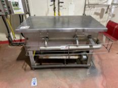 Sanitizing Tank with Controls