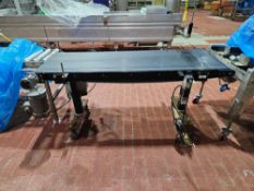 R.L. Graig RLC2520-24-6 Belt Top Conveyor