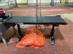 R.L. Craig Rubber Belt Conveyor