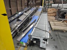 Blue Incline Conveyor