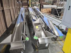 Blue Incline Conveyor