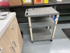 Lot of (2) Carts and (2) Plastic Shelves