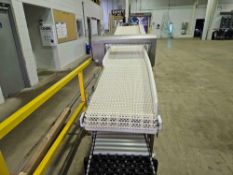 Marchant Schmidt Conveyor With Mettler Toledo Metal Detector