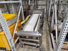 Cintex Metal Detector with Conveyor