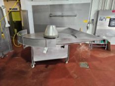 Stainless Steel Multi-Conveyor 80
