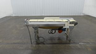 Bilt-Rite Brico Stainless Steel Cleated Transfer Conveyor