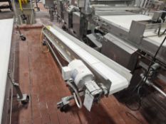 Plastic Matt Top Cleated Conveyor