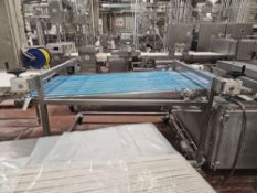 Blue Band Driven Conveyor 41