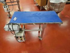 Quantum QC20 Sanitary Smooth Top Blue Belt Conveyor