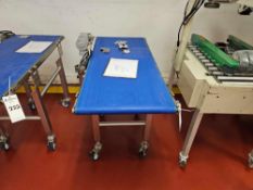 Quantum QC20 Food Grade Smooth Top Conveyor