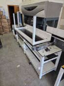 Thermo Scientific Amplitude Solution Module 2 with Thermo Scientific Spinnaker Robotic Arm