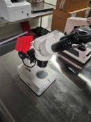 StereoMaster Fisher Scientific Microscope