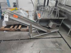 Incline Green Conveyor