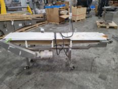 Flat Belt Conveyor
