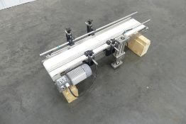 Case Belt Conveyor 36