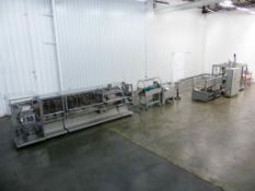 Volpak HFFS Pouch Filling and Packaging System with Case Erector and Top Load Case Packer